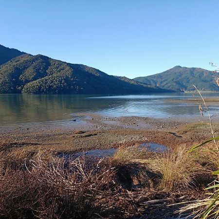 Marlborough Sounds Accommodation 792 Havelock Exteriör bild