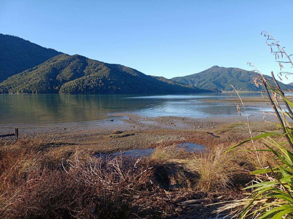 Marlborough Sounds Accommodation 792 Havelock Exteriör bild